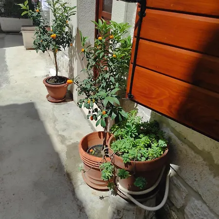 Old Town By Ivo شقة تروغير